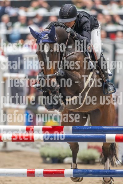 20241019-211401-2024-10-19-21-14-01-29-NIKON-Z-9