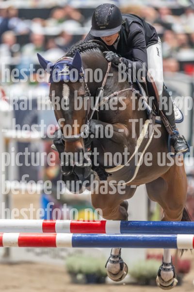 20241019-211401-2024-10-19-21-14-01-34-NIKON-Z-9