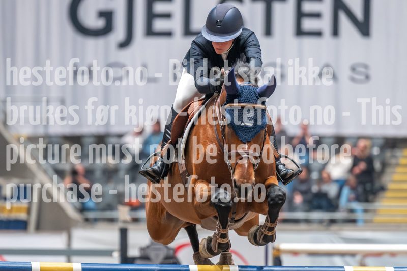 20241019-212731-2024-10-19-21-27-32-61-NIKON-Z-6-2
