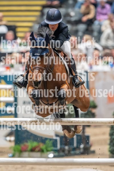 20241019-212807-2024-10-19-21-28-08-76-NIKON-Z-9