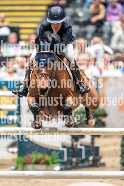 20241019-212807-2024-10-19-21-28-08-81-NIKON-Z-9