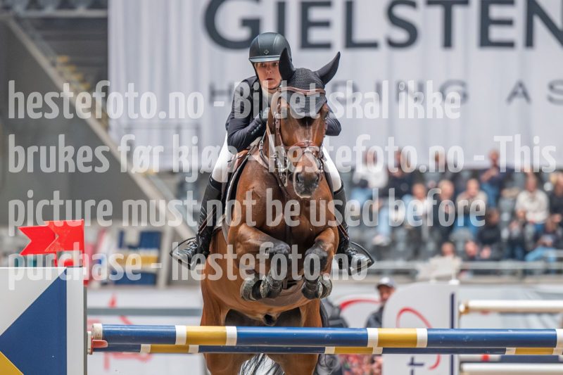 20241019-213400-2024-10-19-21-34-00-09-NIKON-Z-6-2