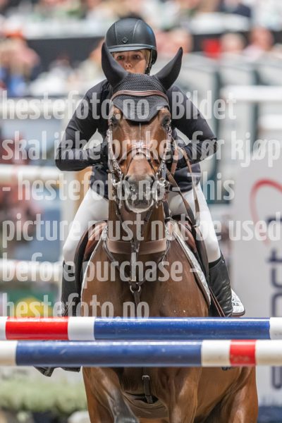 20241019-213438-2024-10-19-21-34-39-72-NIKON-Z-9