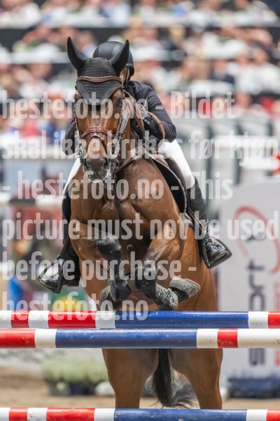 20241019-213438-2024-10-19-21-34-39-92-NIKON-Z-9