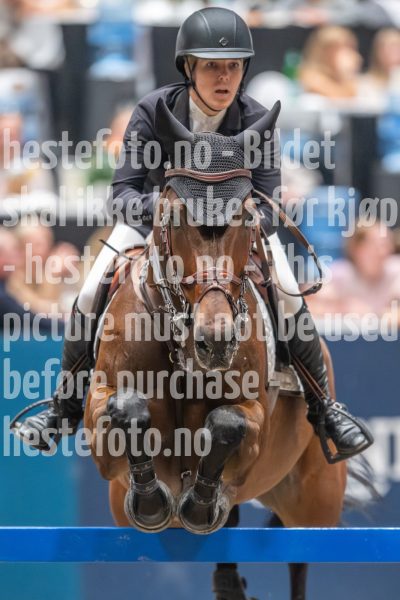 20241019-213508-2024-10-19-21-35-08-12-NIKON-Z-9