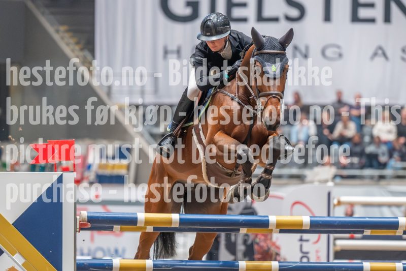20241019-213613-2024-10-19-21-36-14-28-NIKON-Z-6-2