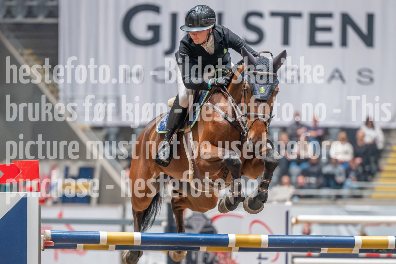 20241019-213613-2024-10-19-21-36-14-39-NIKON-Z-6-2