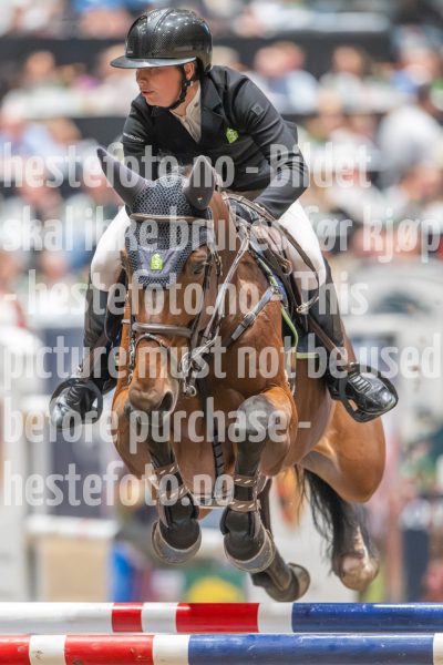 20241019-213650-2024-10-19-21-36-50-36-NIKON-Z-9