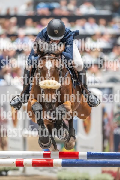 20241019-214127-2024-10-19-21-41-27-37-NIKON-Z-9
