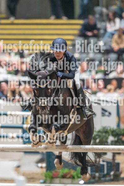 20241019-214529-2024-10-19-21-45-29-40-NIKON-Z-9