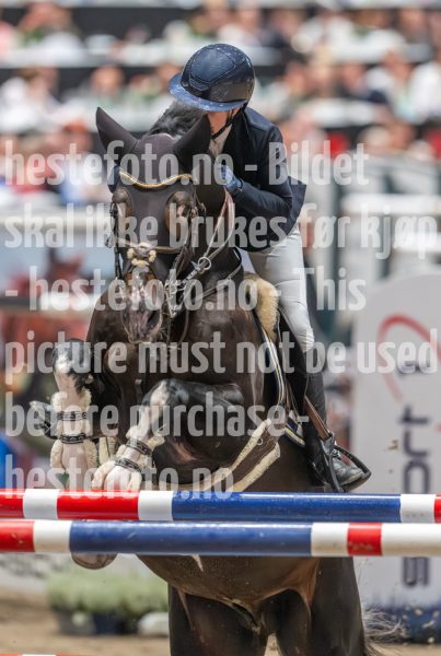 20241019-214531-2024-10-19-21-45-32-68-NIKON-Z-9