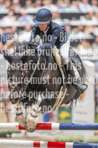 20241019-214532-2024-10-19-21-45-32-08-NIKON-Z-9