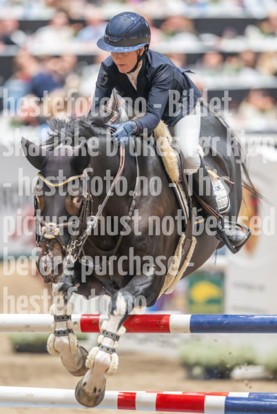 20241019-214532-2024-10-19-21-45-32-13-NIKON-Z-9
