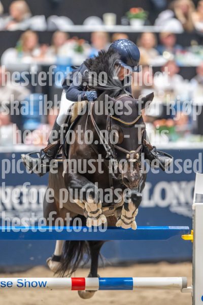 20241019-214600-2024-10-19-21-46-01-64-NIKON-Z-9