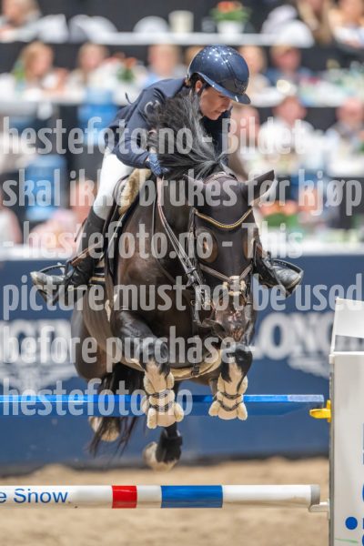 20241019-214600-2024-10-19-21-46-01-69-NIKON-Z-9