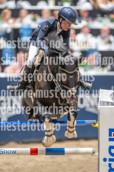 20241019-214600-2024-10-19-21-46-01-74-NIKON-Z-9
