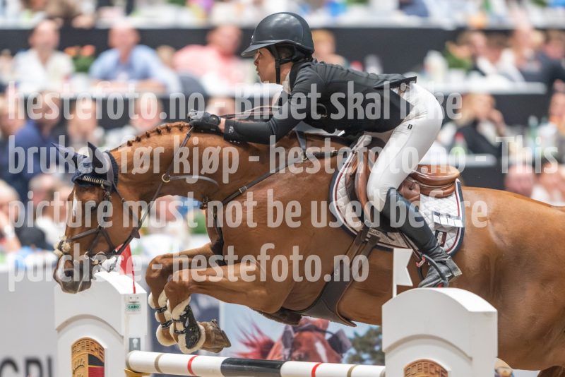 20241019-214955-2024-10-19-21-49-56-88-NIKON-Z-9