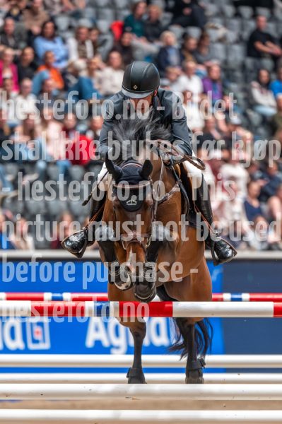 20241019-215714-2024-10-19-21-57-15-82-NIKON-Z-6-2