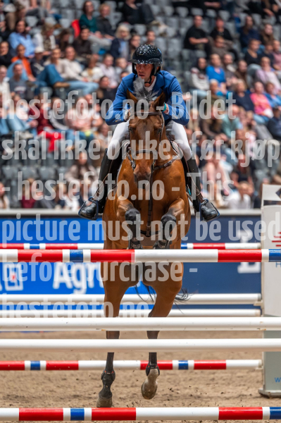 20241019-220133-2024-10-19-22-01-34-94-NIKON-Z-6-2