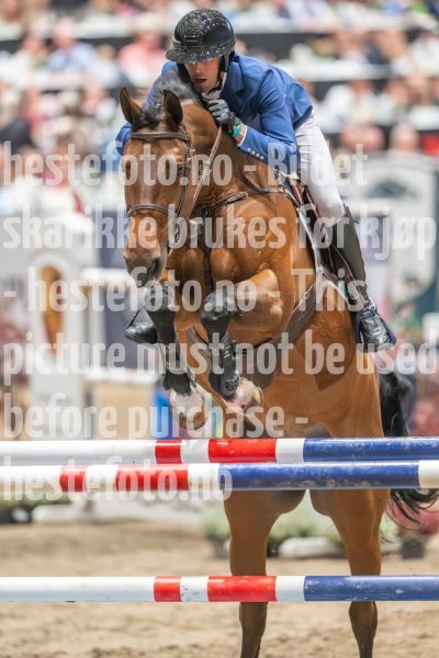 20241019-220142-2024-10-19-22-01-42-01-NIKON-Z-9