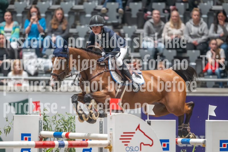 20241019-221915-2024-10-19-22-19-15-02-NIKON-Z-9