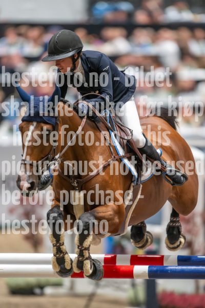 20241019-221920-2024-10-19-22-19-21-72-NIKON-Z-9