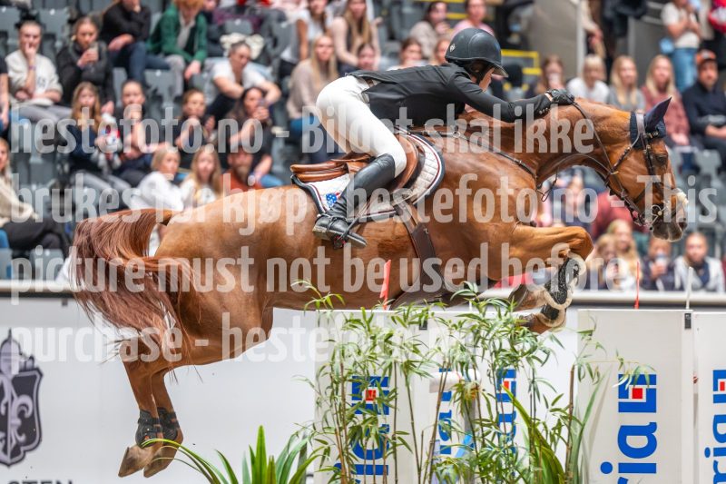 20241019-222610-2024-10-19-22-26-11-65-NIKON-Z-6-2