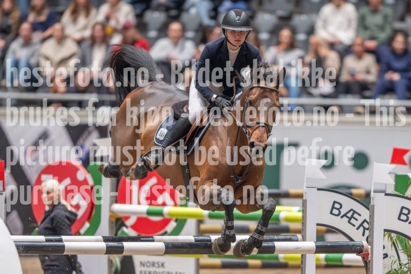 20241020-114127-2024-10-20-11-41-28-59-NIKON-Z-9
