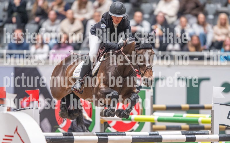 20241020-121628-2024-10-20-12-16-29-44-NIKON-Z-9