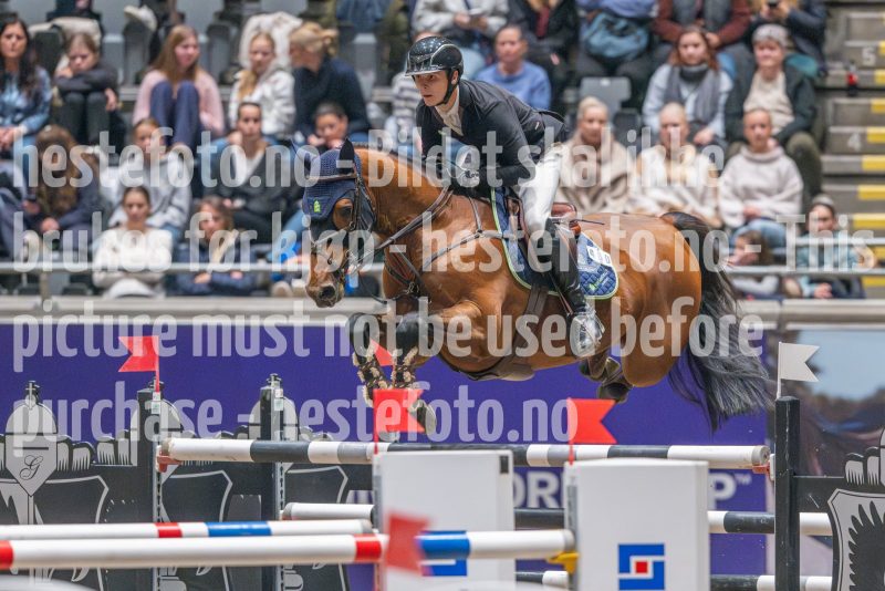 20241020-164914-2024-10-20-16-49-15-82-NIKON-Z-9
