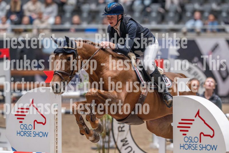 20241020-105451-2024-10-20-10-54-51-09-NIKON-Z-9