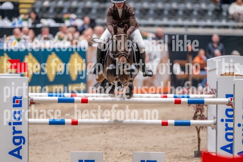 20241018-210237-2024-10-18-21-02-37-50-NIKON-Z-9
