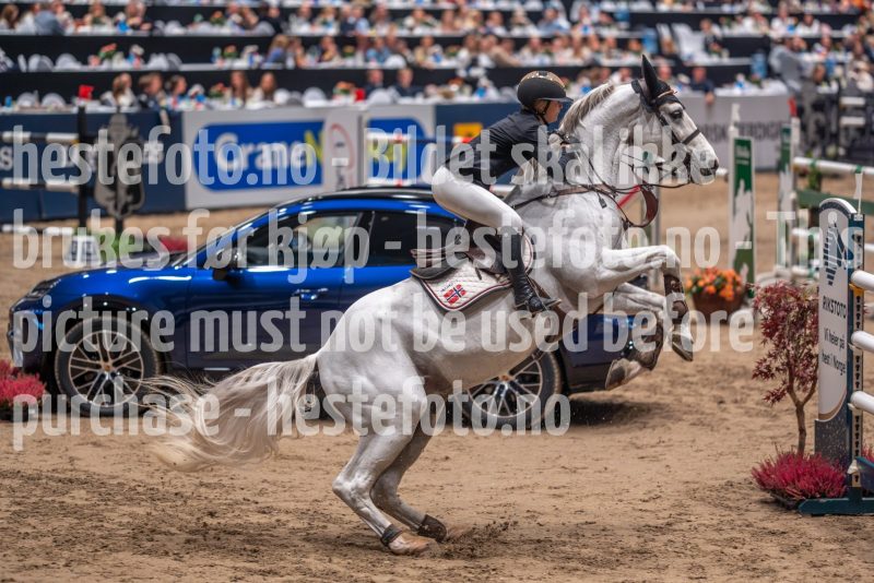 20241018-210734-2024-10-18-21-07-38-85-NIKON-Z-7