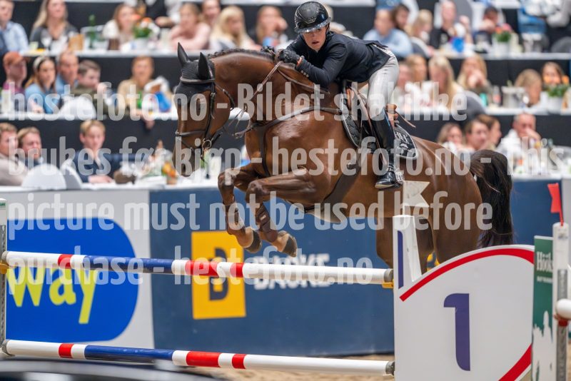 20241018-210923-2024-10-18-21-09-23-46-NIKON-Z-9