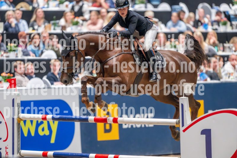 20241018-210923-2024-10-18-21-09-23-57-NIKON-Z-9