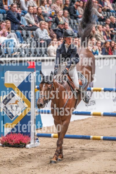 20241018-211012-2024-10-18-21-10-13-90-NIKON-Z-6-2