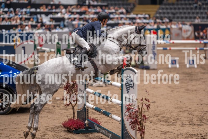 20241018-211208-2024-10-18-21-12-12-38-NIKON-Z-7