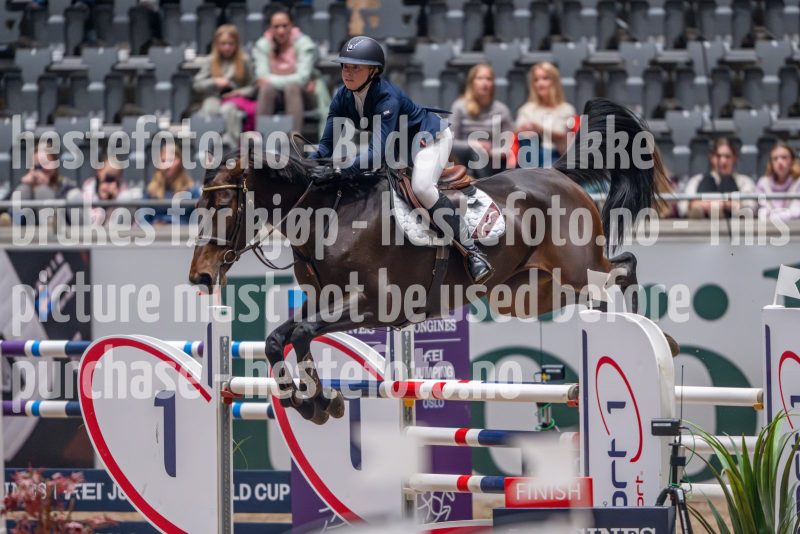 20241018-211408-2024-10-18-21-14-08-24-NIKON-Z-9