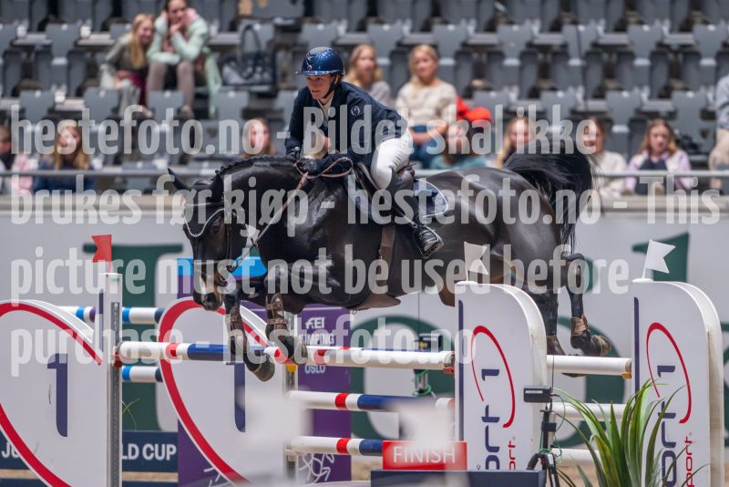 20241018-211601-2024-10-18-21-16-02-60-NIKON-Z-9