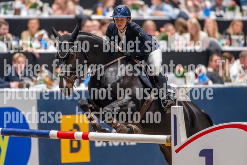 20241018-211606-2024-10-18-21-16-06-10-NIKON-Z-9