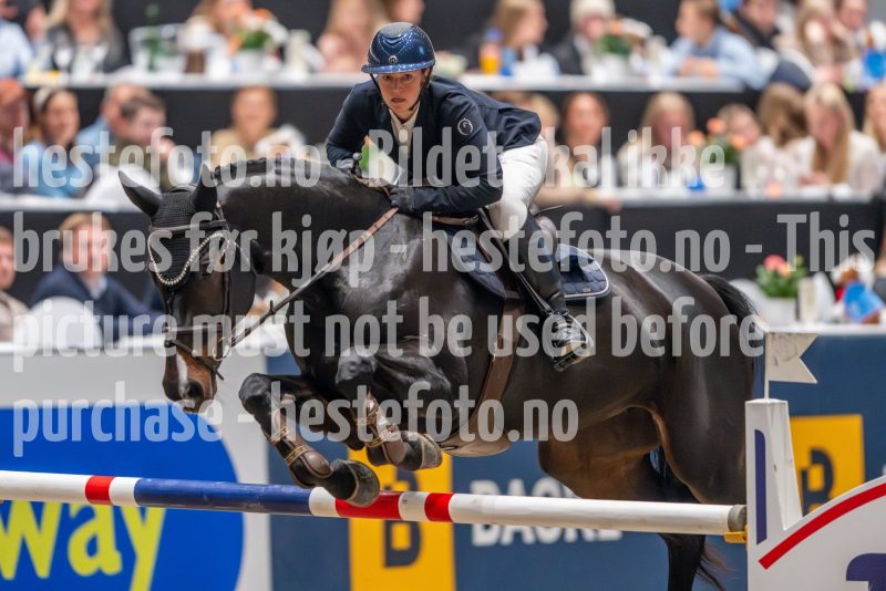 20241018-211606-2024-10-18-21-16-06-26-NIKON-Z-9