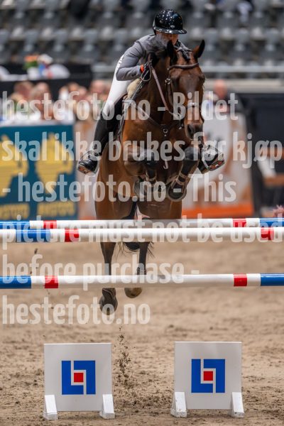 20241018-211923-2024-10-18-21-19-23-29-NIKON-Z-9