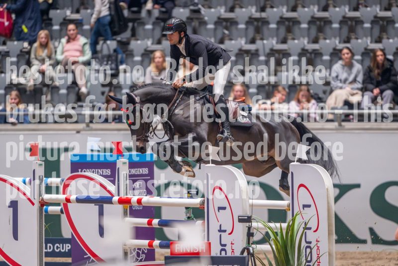 20241018-212039-2024-10-18-21-20-39-43-NIKON-Z-9