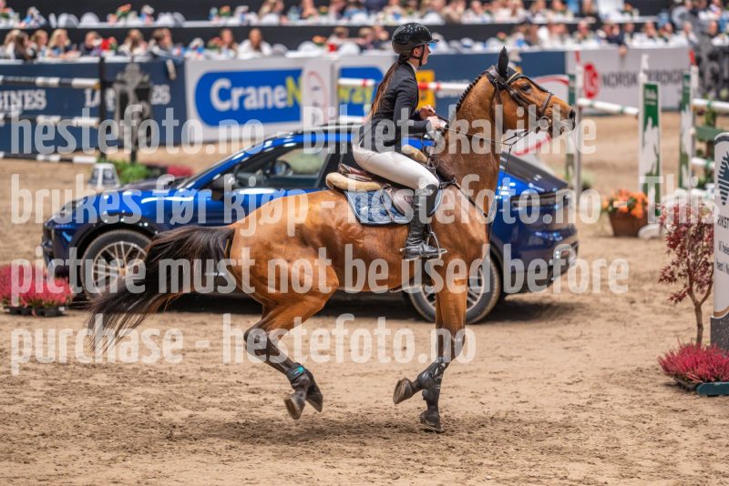20241018-212253-2024-10-18-21-22-55-57-NIKON-Z-7