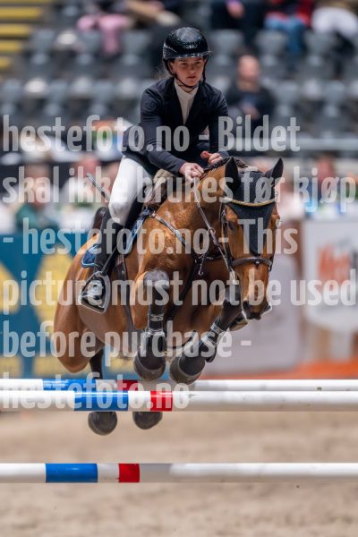 20241018-212342-2024-10-18-21-23-42-03-NIKON-Z-9