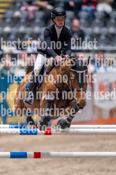 20241018-212342-2024-10-18-21-23-42-08-NIKON-Z-9