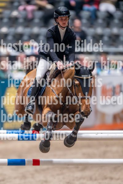 20241018-212342-2024-10-18-21-23-42-13-NIKON-Z-9