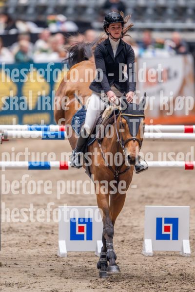 20241018-212342-2024-10-18-21-23-43-38-NIKON-Z-9