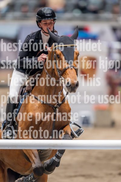 20241018-212344-2024-10-18-21-23-44-53-NIKON-Z-9