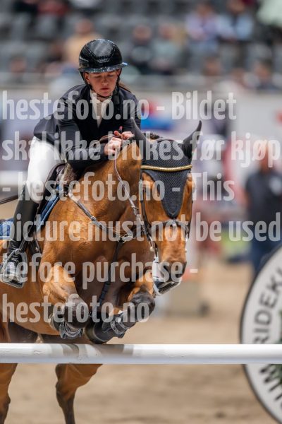 20241018-212344-2024-10-18-21-23-45-74-NIKON-Z-9